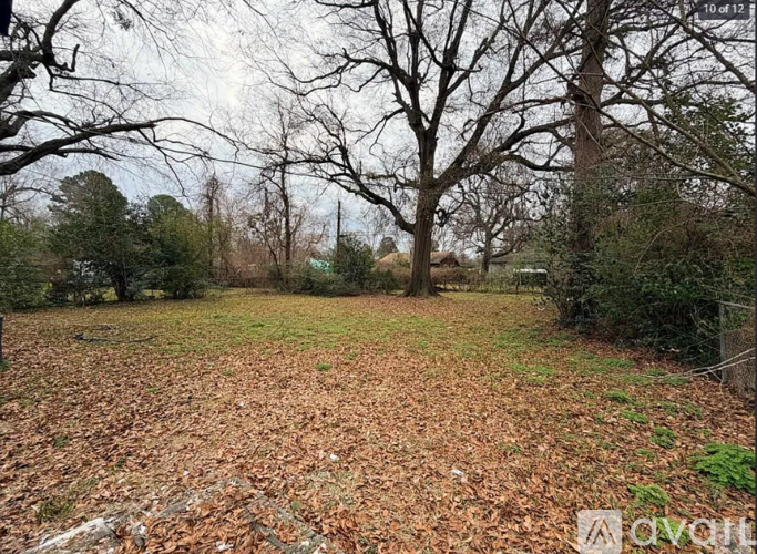 A field with trees and leaves on the ground.