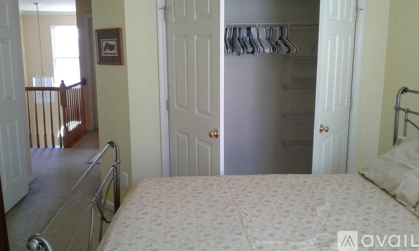 A bedroom with a bed, a closet, and a picture on the wall.