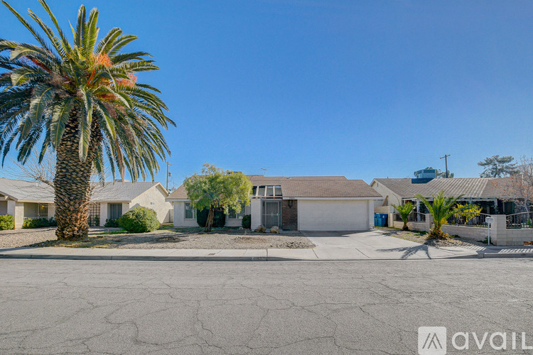 A palm tree stands in front of a row of houses.