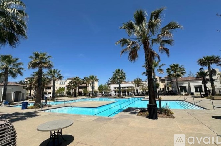 A pool surrounded by palm trees and a sunny sky.