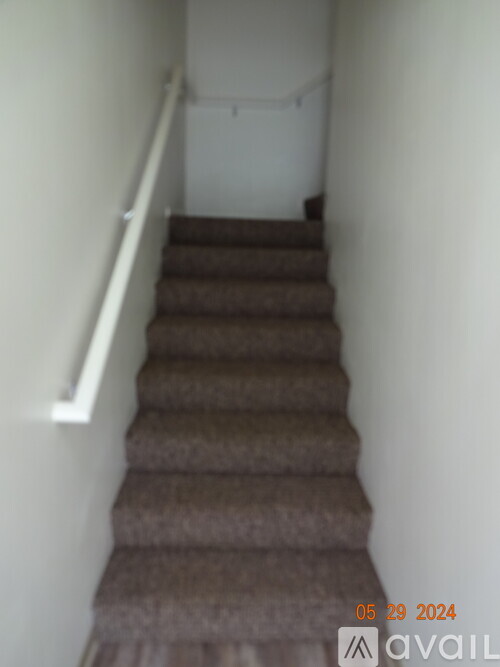 A staircase with a carpeted runner and white handrails.