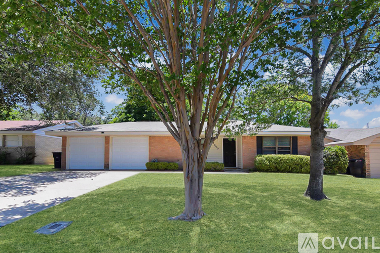 A tree in front of a row of houses.