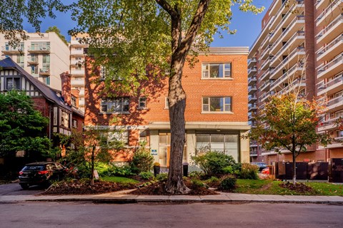 A tree in front of a building with a car parked in front of it.