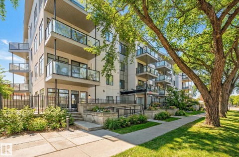 A modern apartment building with a tree in front.