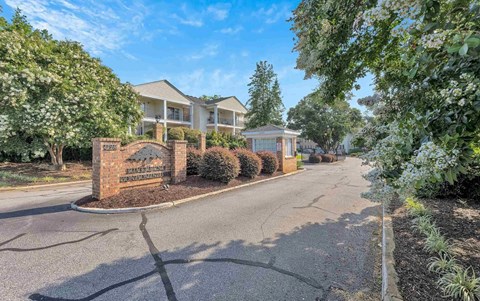 925 Cleveland Street #31 1 Apartment for Rent