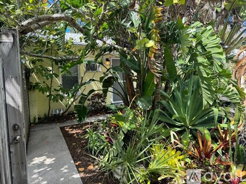 A garden with a variety of plants and a wooden door.