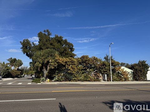 A street view with a large tree in the middle of the road.