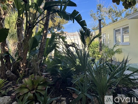 A garden with various plants and a house in the background.
