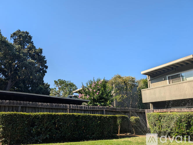A car is parked behind a hedge in front of a house.