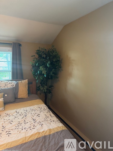 A bedroom with a bed, pillows, a window with curtains, and a plant.