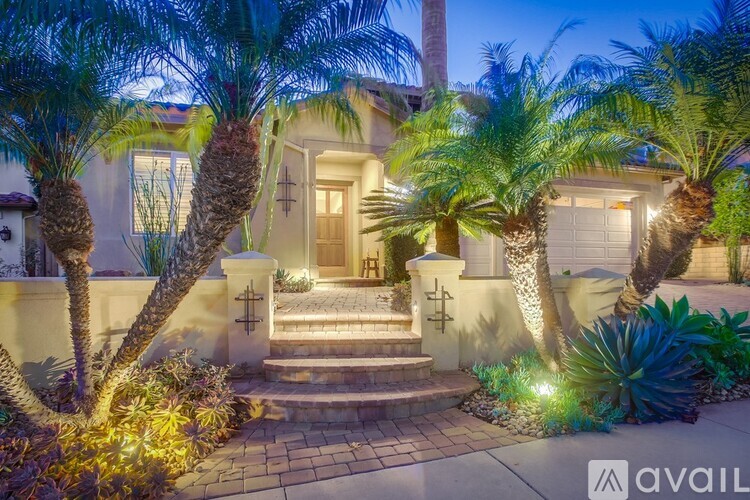 A house with a front yard featuring palm trees and a stone pathway leading to the front door.