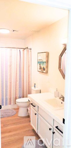 A bathroom with a toilet, sink, and shower curtain.