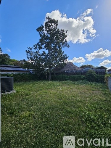 A grassy area with a tree and a building in the background.