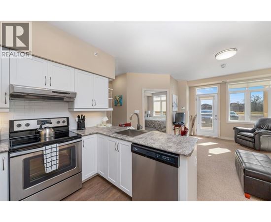 A modern kitchen with a stove top oven and a dishwasher.
