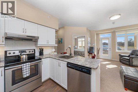 A modern kitchen with a stove top oven and a dishwasher.