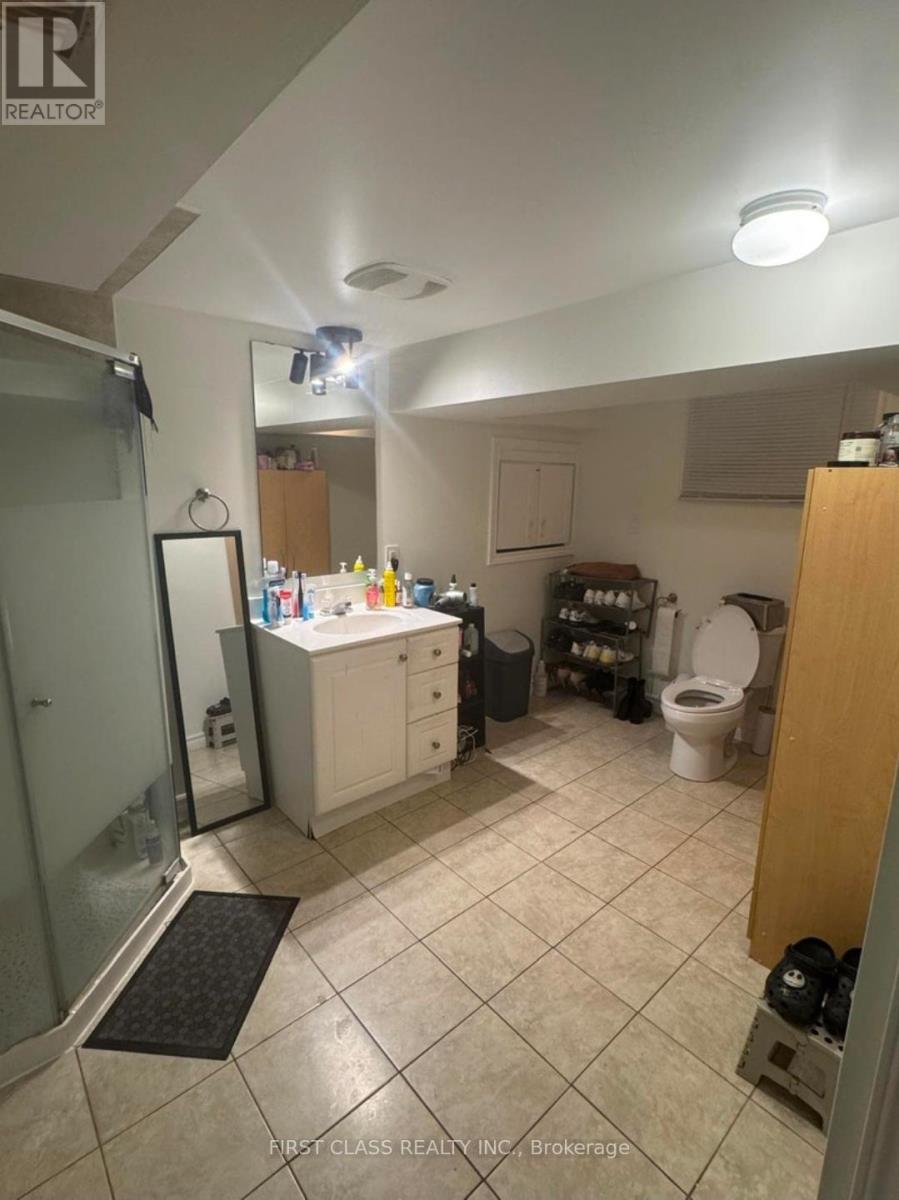 A bathroom with a walk-in shower and a toilet.
