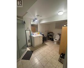 A bathroom with a walk-in shower and a toilet.