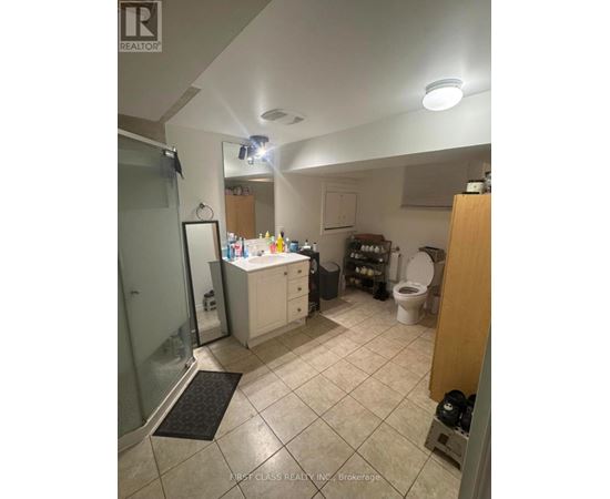 A bathroom with a walk-in shower and a toilet.