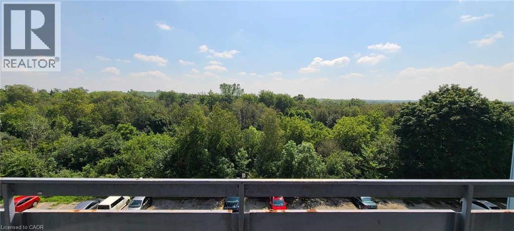 A parking lot with cars and a view of a wooded area.
