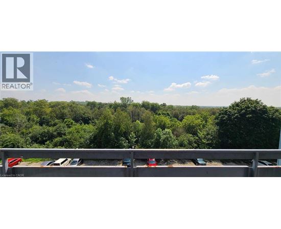 A parking lot with cars and a view of a wooded area.