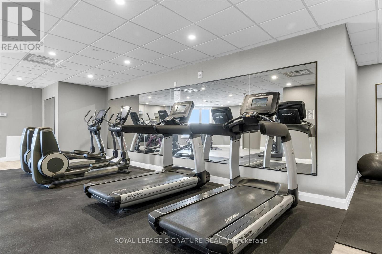 A gym with treadmills, elliptical machines, and a weight machine.