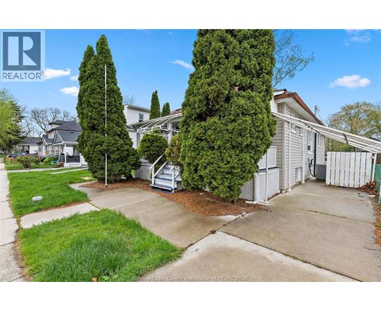 A realtor photo of a residential area with a house and trees.