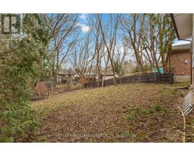 A backyard with a fence and trees.