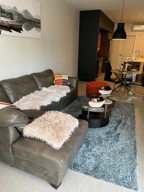 A living room with a grey couch and a blue rug.
