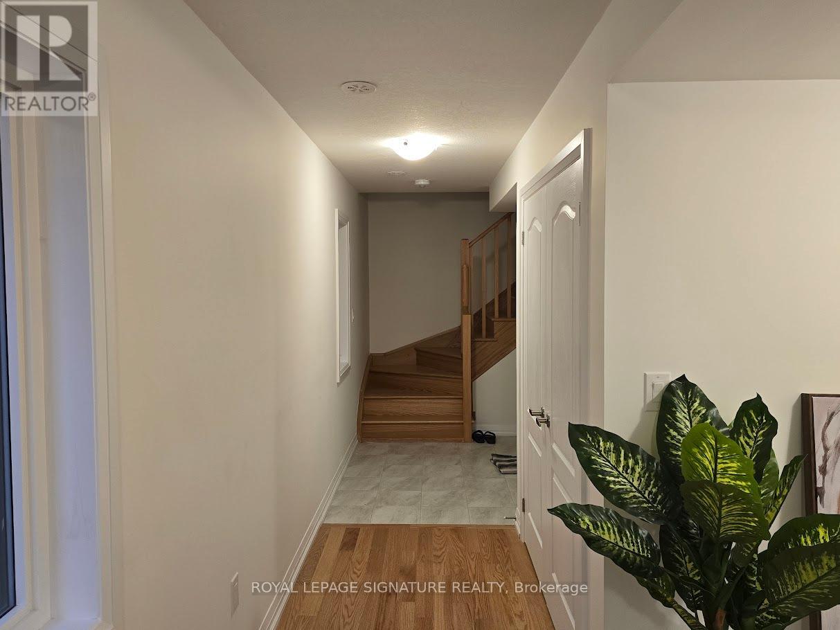 A hallway with a plant on the right side.