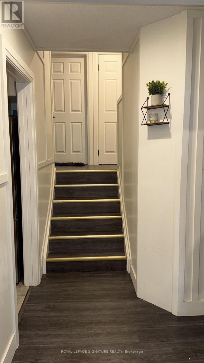 A hallway with a white door and a small plant on the wall.