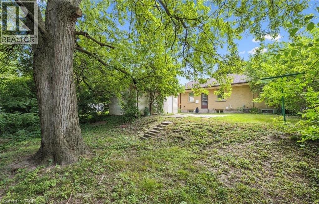 A tree stands in the foreground of a grassy area with a building in the background.