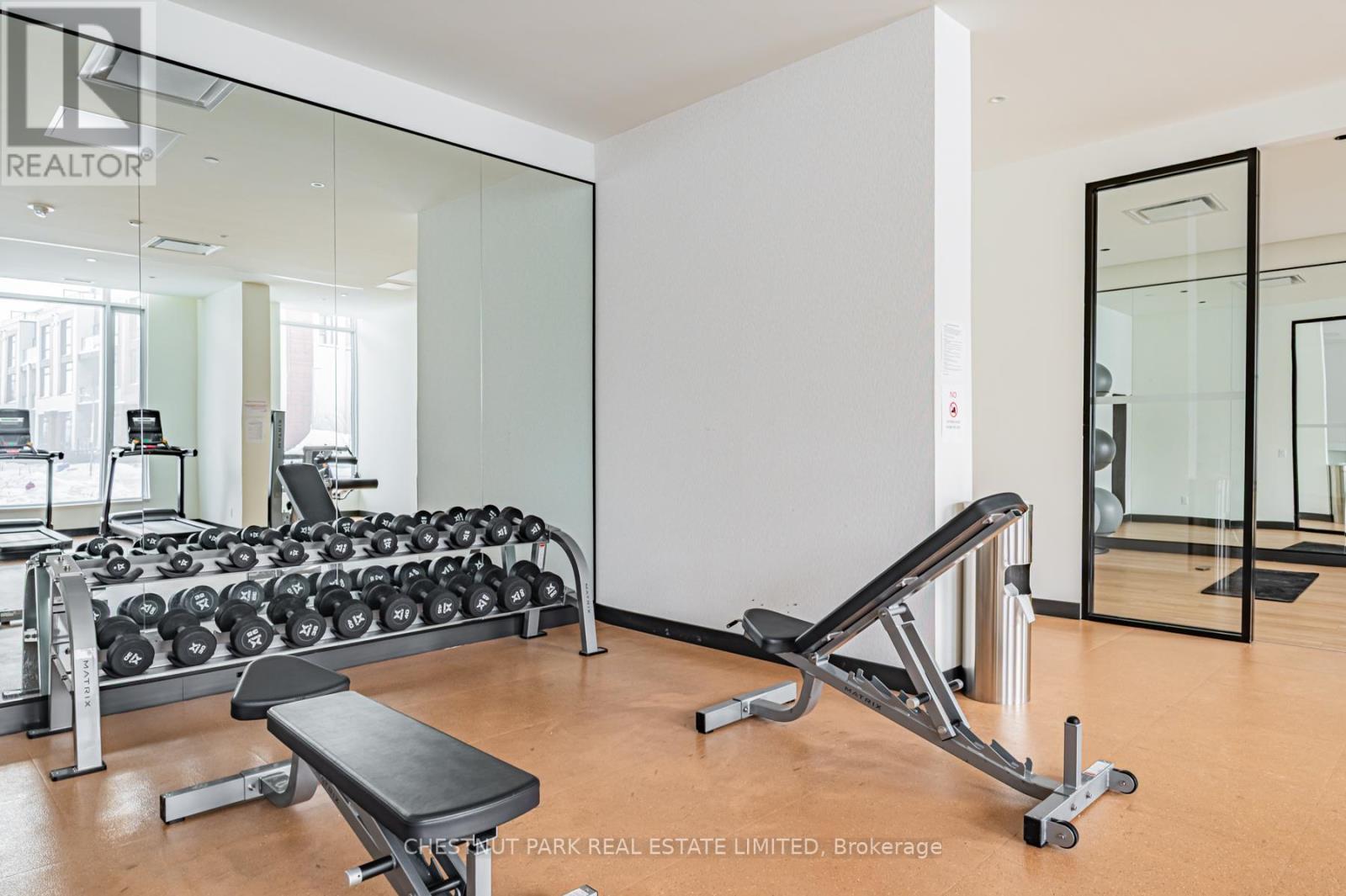 A gym with a row of dumbbells and a bench.