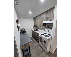 A modern kitchen with a stove top oven and a range hood.