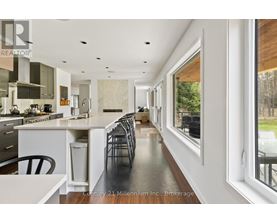 A modern kitchen with a long counter and a view of the backyard.
