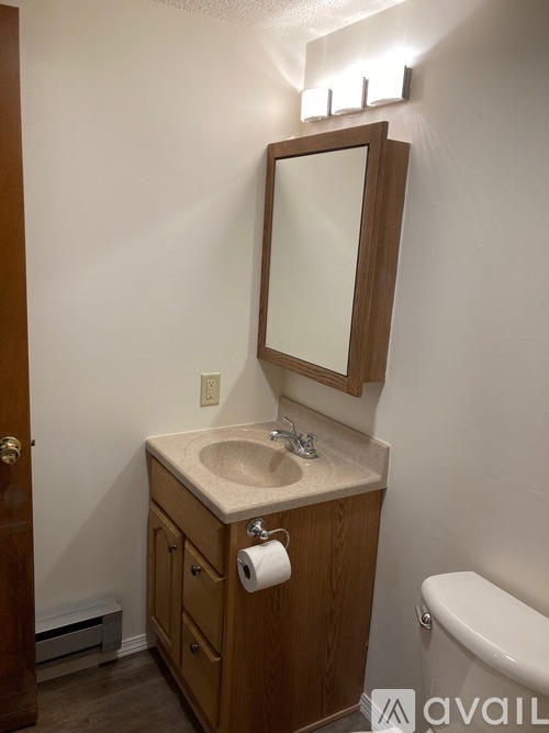 A bathroom with a sink, mirror, and toilet.