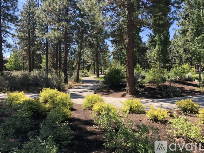 A pathway in a park with green trees and bushes on either side.