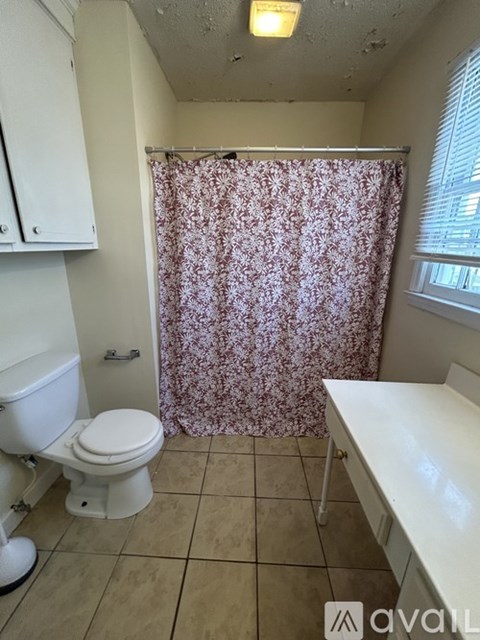 61 Cooper Street 2 Beds Apartment for Rent