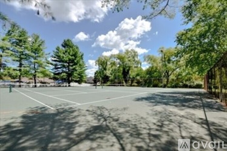 A tennis court surrounded by trees on a sunny day.