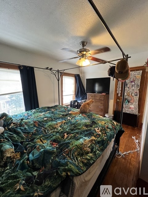 A bedroom with a bed, a ceiling fan, and a cat sitting on the bed.