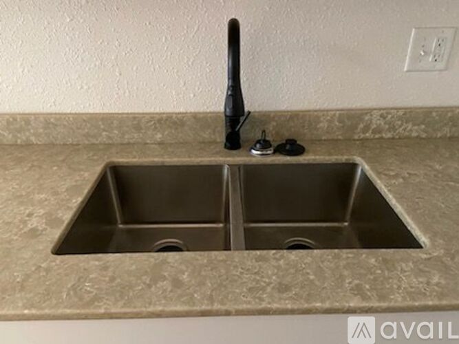 A kitchen sink with a black faucet and two black objects on the counter.