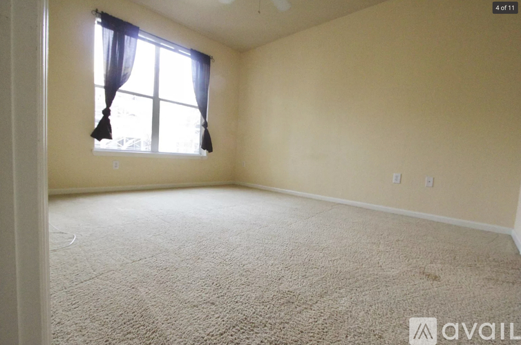 A carpeted room with a window and a curtain.