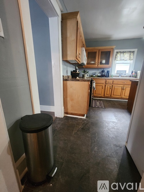 A kitchen with wooden cabinets and a black trash can.