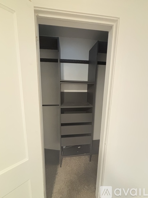 A white door opens to a small closet with shelves.