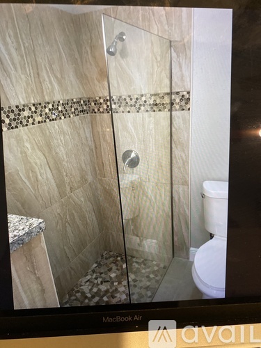 A bathroom with a toilet and a walk-in shower.