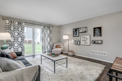A living room with a white rug and a grey couch.