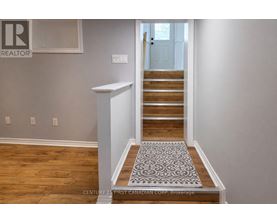 A hallway with a staircase and a rug on the floor.