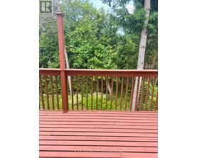 A red wooden deck with a railing and trees in the background.