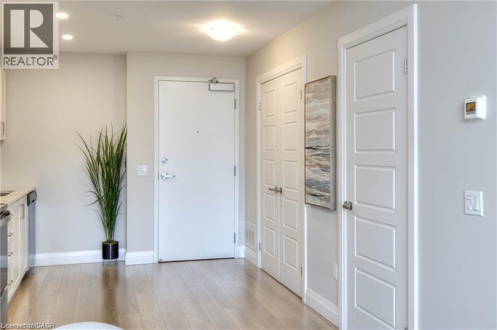A white door is in a hallway with a plant in a black pot.
