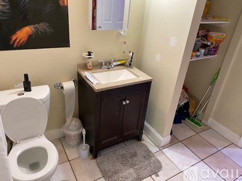 A bathroom with a toilet, sink, and a rug on the floor.