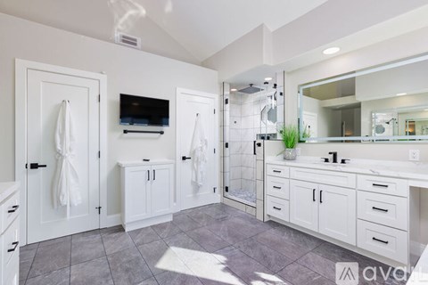 A bathroom with a walk-in shower and a vanity with a mirror.